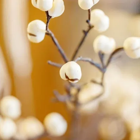 Ae303-aeroskobing-sygehusvejen-3 Tatil Evi